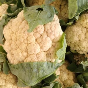 Local Cauliflower