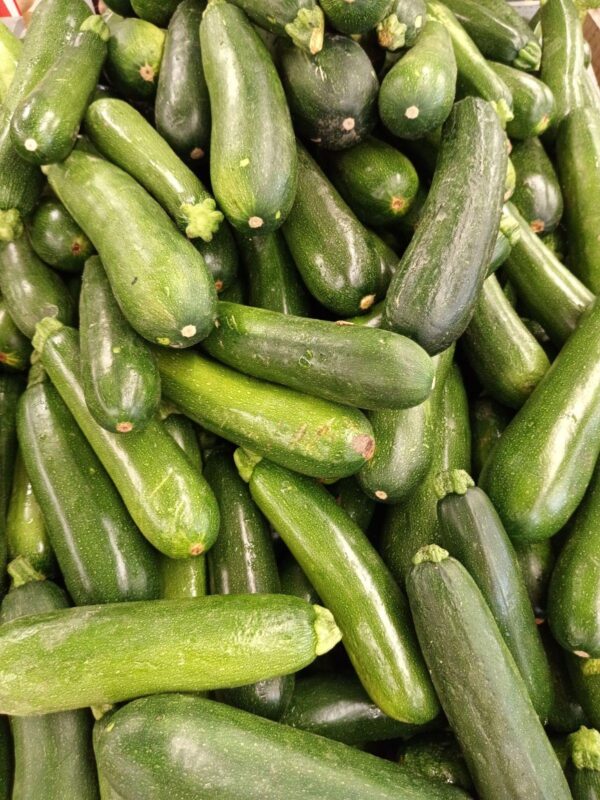 Fresh Zucchini